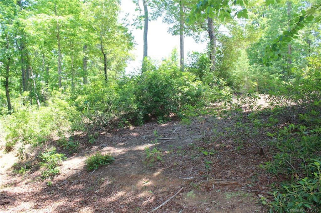 Lot 44 Peninsula Dr Mill Spring Mill Spring, NC 28756 - Photo 11 of 17
