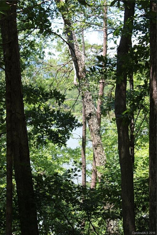 Lot 44 Peninsula Dr Mill Spring Mill Spring, NC 28756 - Photo 12 of 17