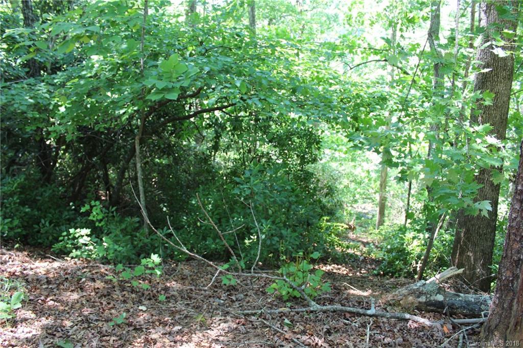 Lot 44 Peninsula Dr Mill Spring Mill Spring, NC 28756 - Photo 13 of 17