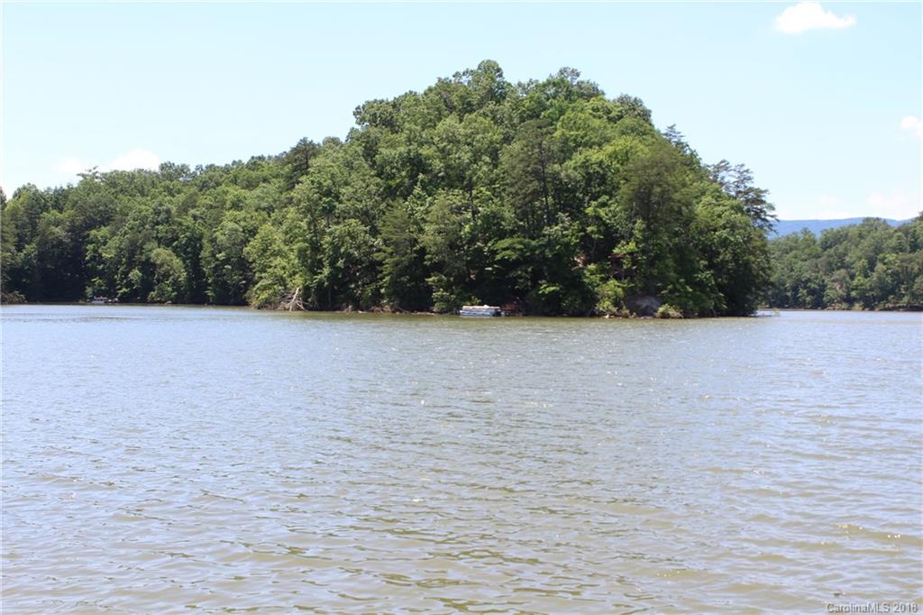 Lot 44 Peninsula Dr Mill Spring Mill Spring, NC 28756 - Photo 4 of 17