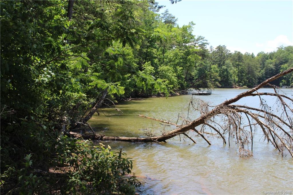 Lot 44 Peninsula Dr Mill Spring Mill Spring, NC 28756 - Photo 6 of 17
