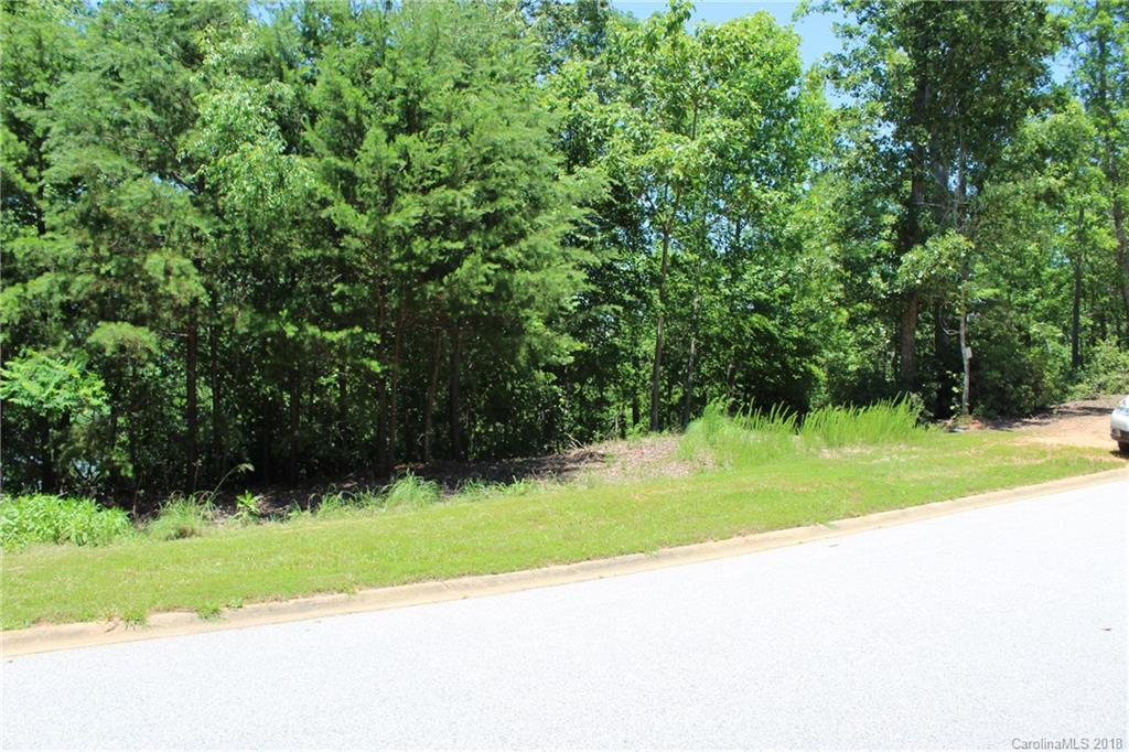 Lot 44 Peninsula Dr Mill Spring Mill Spring, NC 28756 - Photo 7 of 17