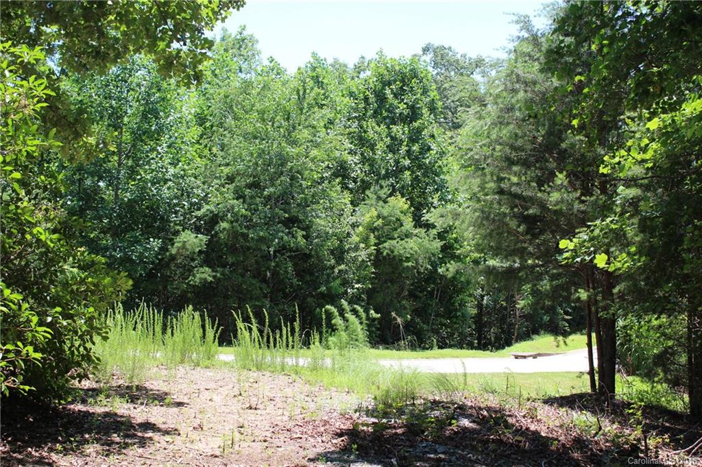 Lot 44 Peninsula Dr Mill Spring Mill Spring, NC 28756 - Photo 8 of 17