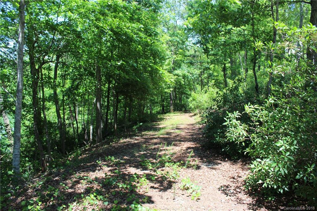 Lot 44 Peninsula Dr Mill Spring Mill Spring, NC 28756 - Photo 9 of 17