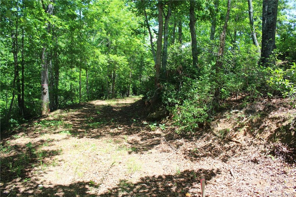 Lot 44 Peninsula Dr Mill Spring Mill Spring, NC 28756 - Photo 10 of 17