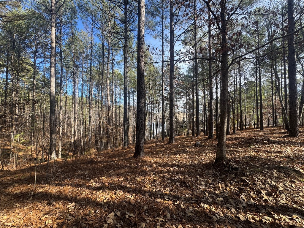801 Mirror Lake Court Salem, SC 29676 - Photo 12 of 16