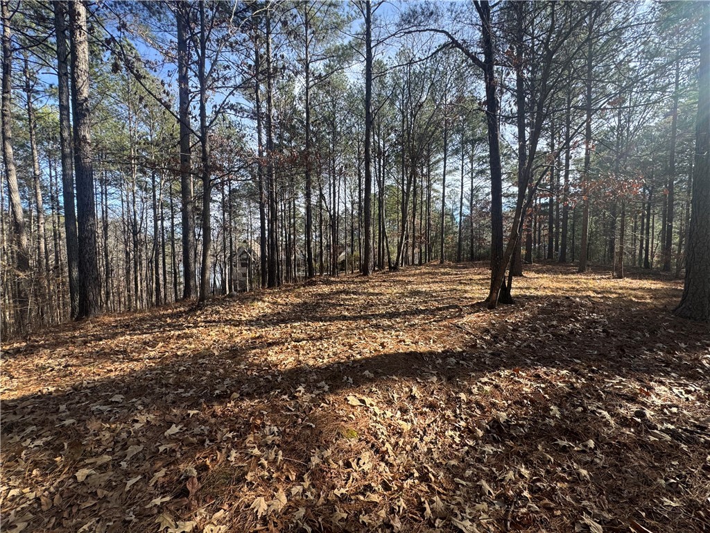 801 Mirror Lake Court Salem, SC 29676 - Photo 14 of 16