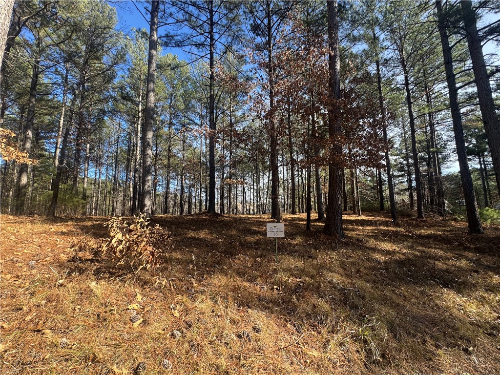 801 Mirror Lake Court Salem, SC 29676 - Photo 2 of 16