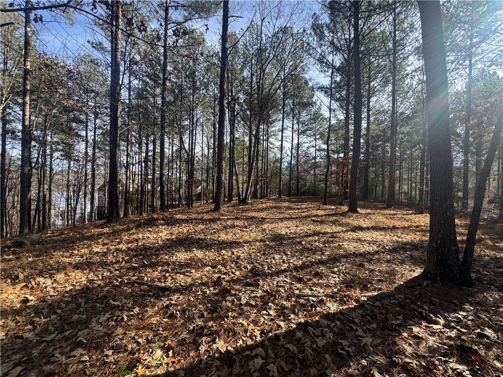 801 Mirror Lake Court Salem, SC 29676 - Photo 4 of 16