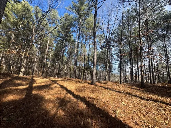 $175,000 | 801 Mirror Lake Court, Salem, SC 29676