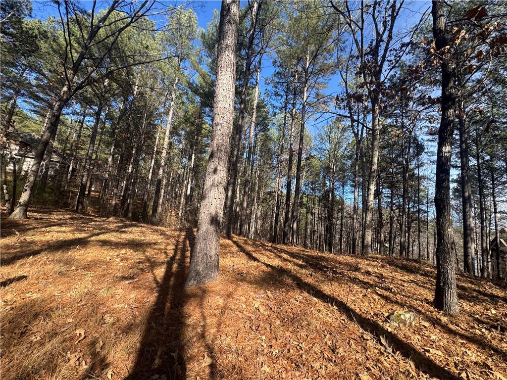 801 Mirror Lake Court Salem, SC 29676 - Photo 7 of 16