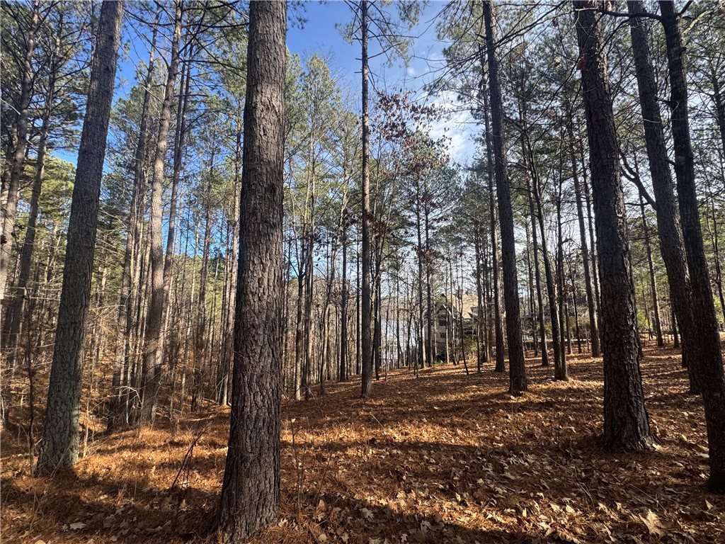 801 Mirror Lake Court Salem, SC 29676 - Photo 9 of 16