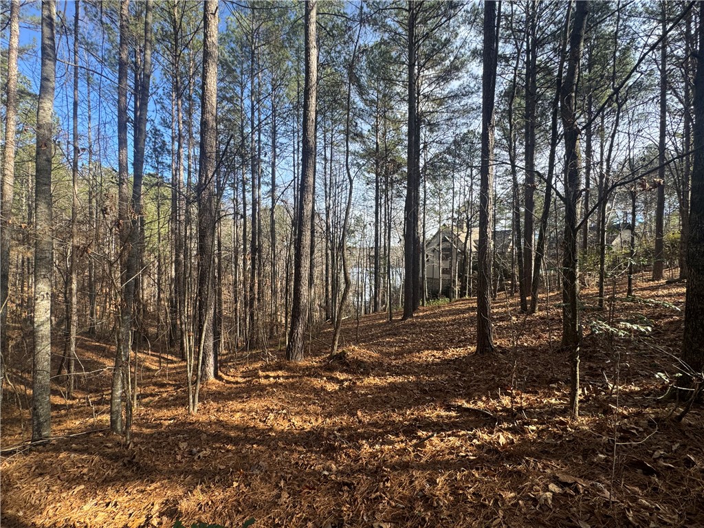 801 Mirror Lake Court Salem, SC 29676 - Photo 10 of 16
