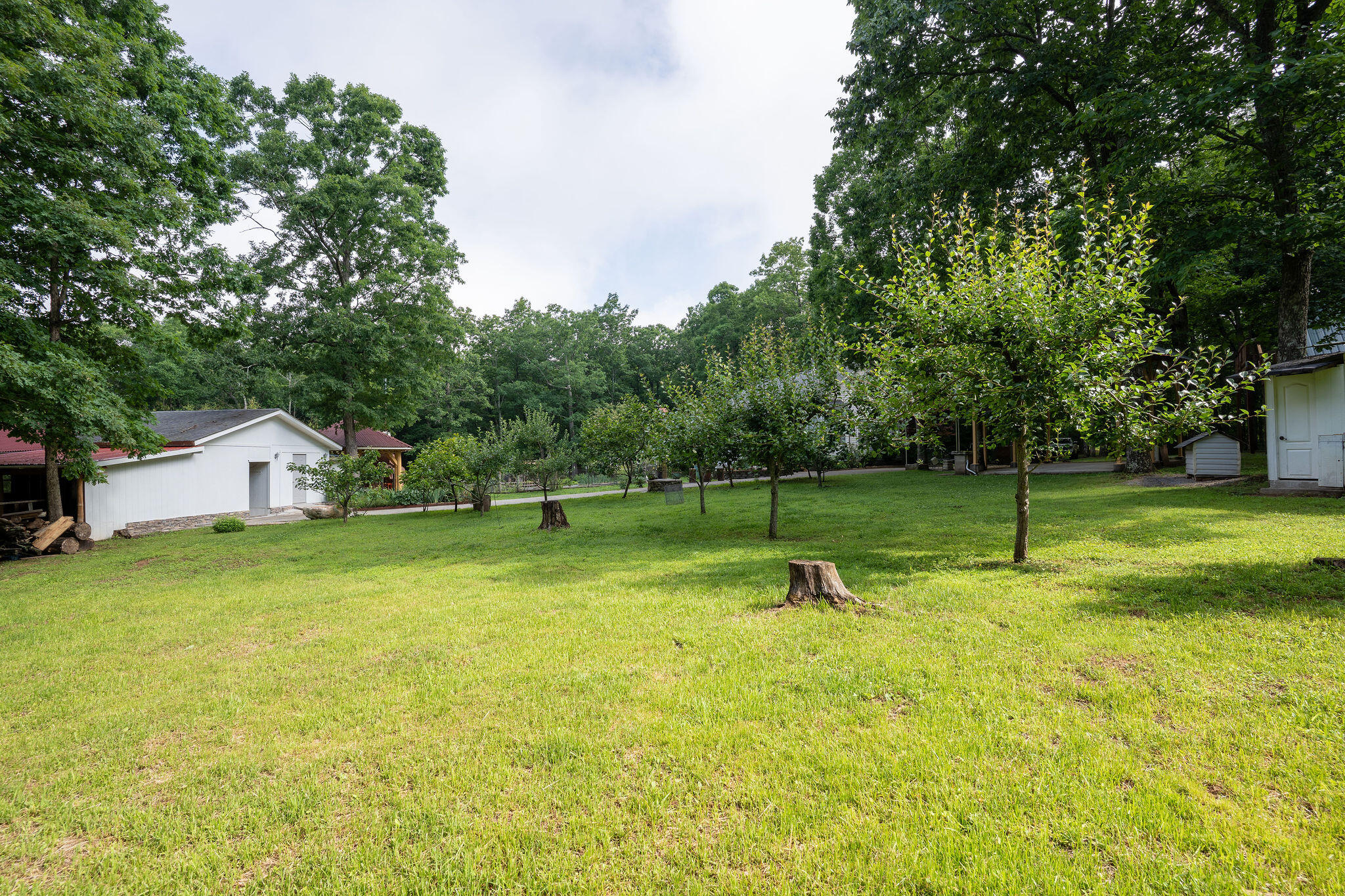 758 Old State Road Menlo, GA 30731 - Photo 58 of 69 A7304618-HDR - Copy