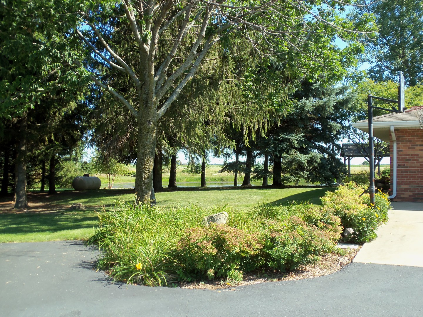 2874 East 28th Road Seneca, IL 61360 - Photo 3 of 51 a view of a garden with large trees