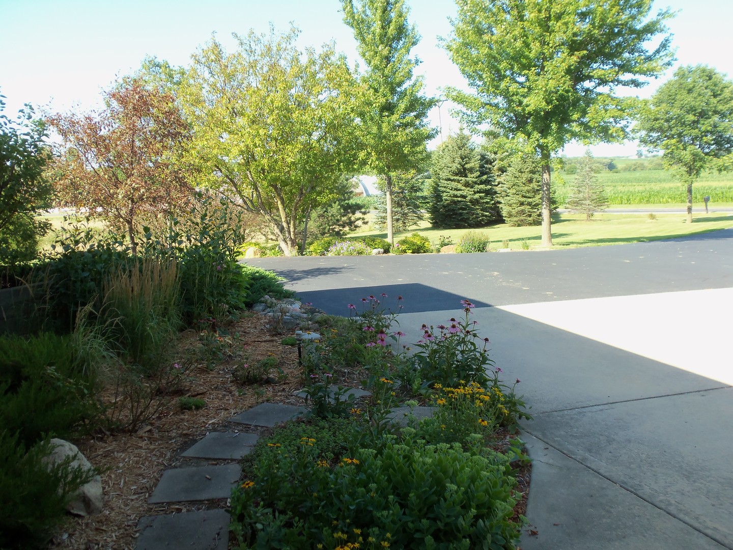 2874 East 28th Road Seneca, IL 61360 - Photo 4 of 51 a view of yard with green space and trees all around