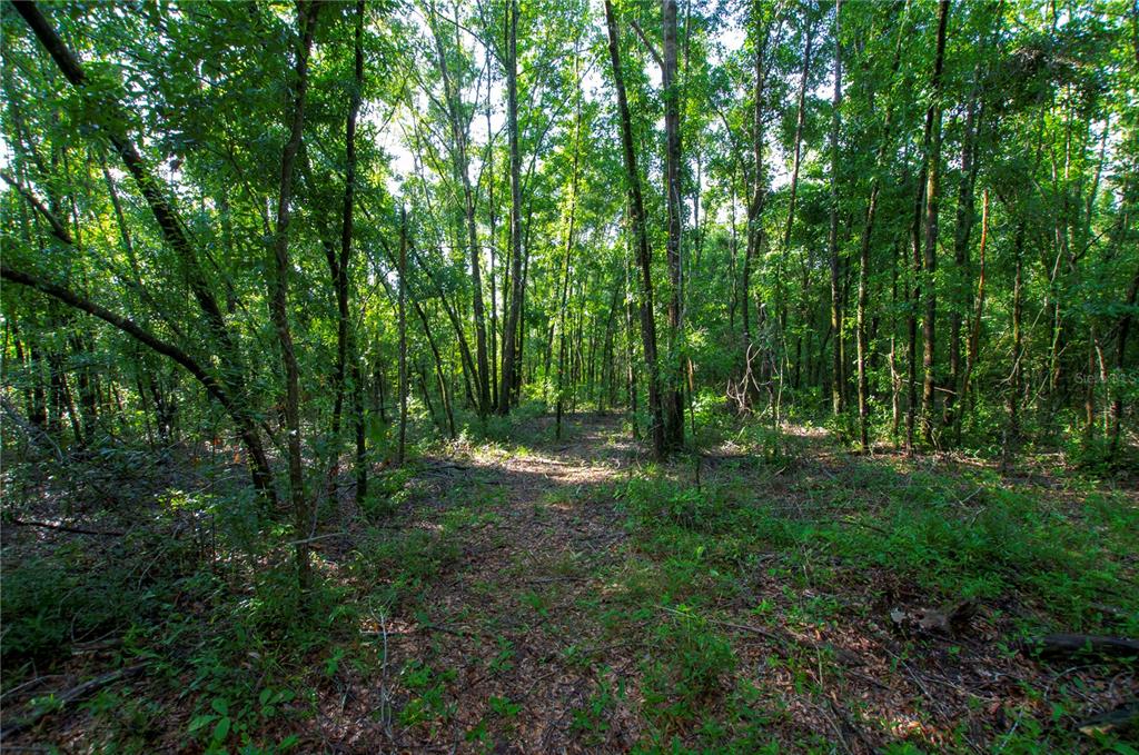 18233 185th Road Live Oak, FL 32060 - Photo 76 of 99