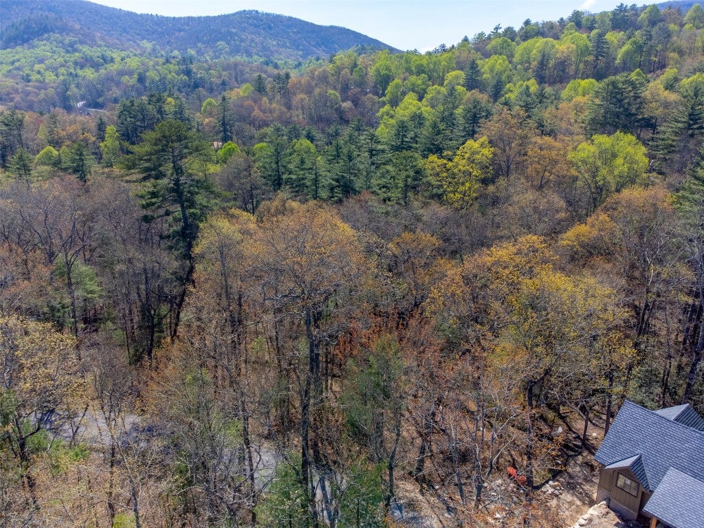 9 Norton Road Cashiers, NC 28717 - Photo 7 of 20 Aerial View
