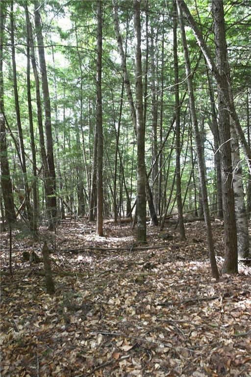 0 Sunset Park Road Ellsworth, ME 04605 - Photo 16 of 35 Photo