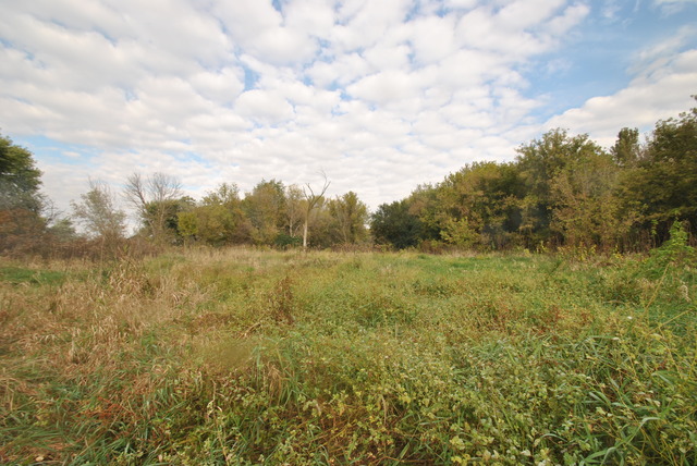 42W734 Kedeka Road Sugar Grove, IL 60554 - Photo 22 of 25 a view of a green field