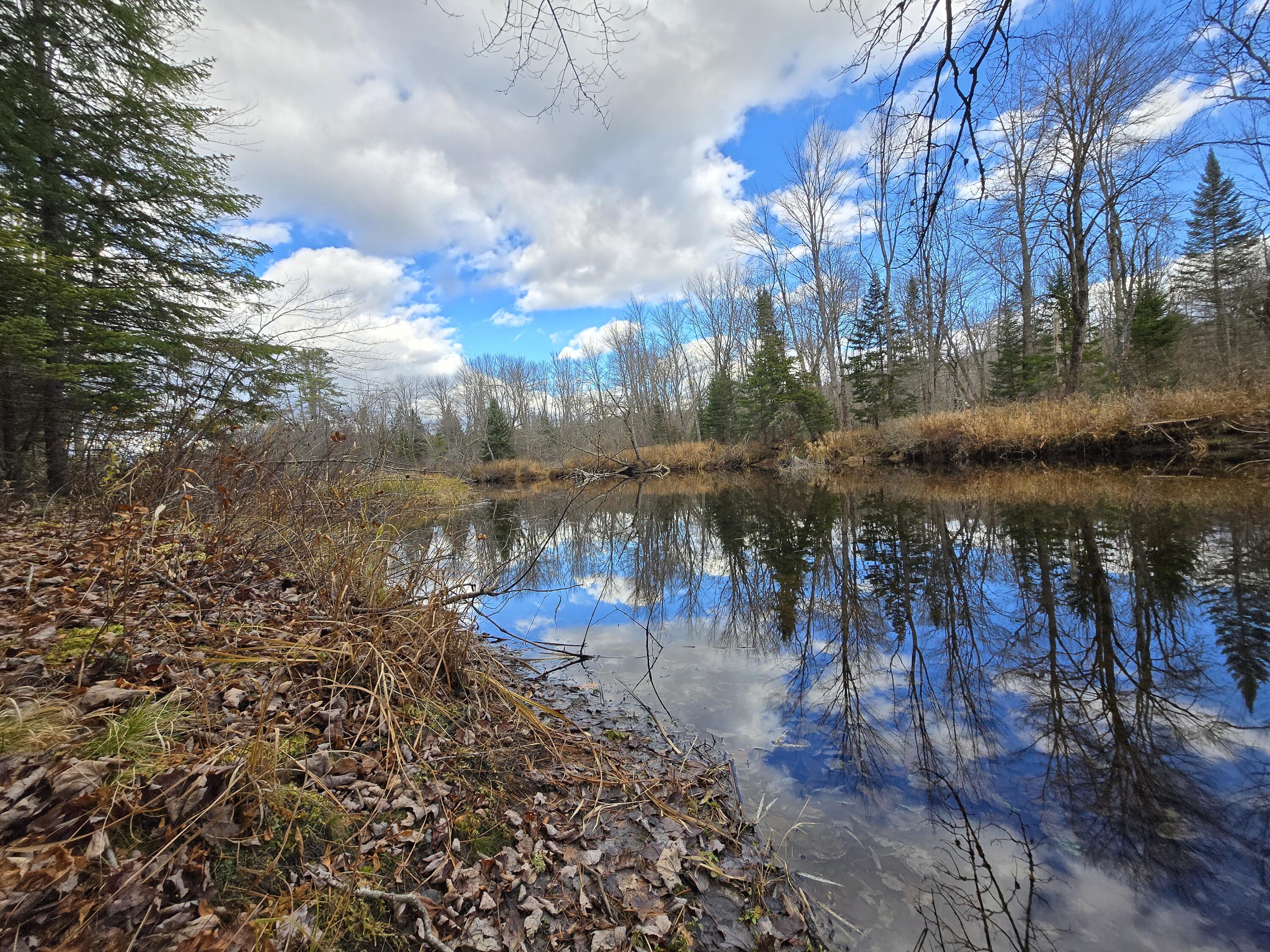 432 Plains Road Harrison, ME 04040 - Photo 4 of 23 15