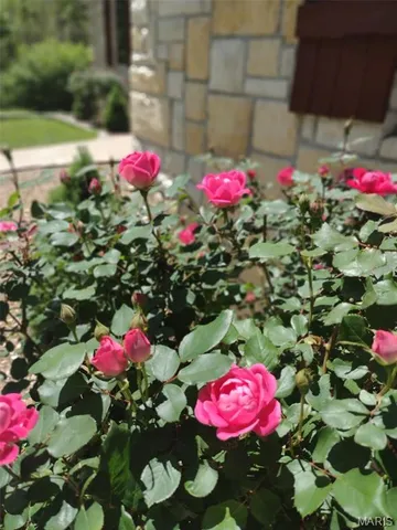 $639,000 | 24473 Remington Lane, Lebanon, MO 65536