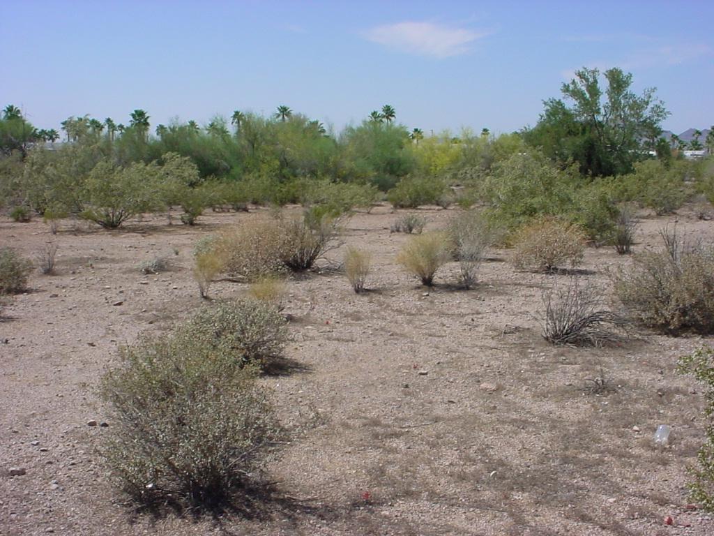 500 South Tomahawk Road, Unit B Apache Junction, AZ 85119 - Photo 1 of 1 Photo 1