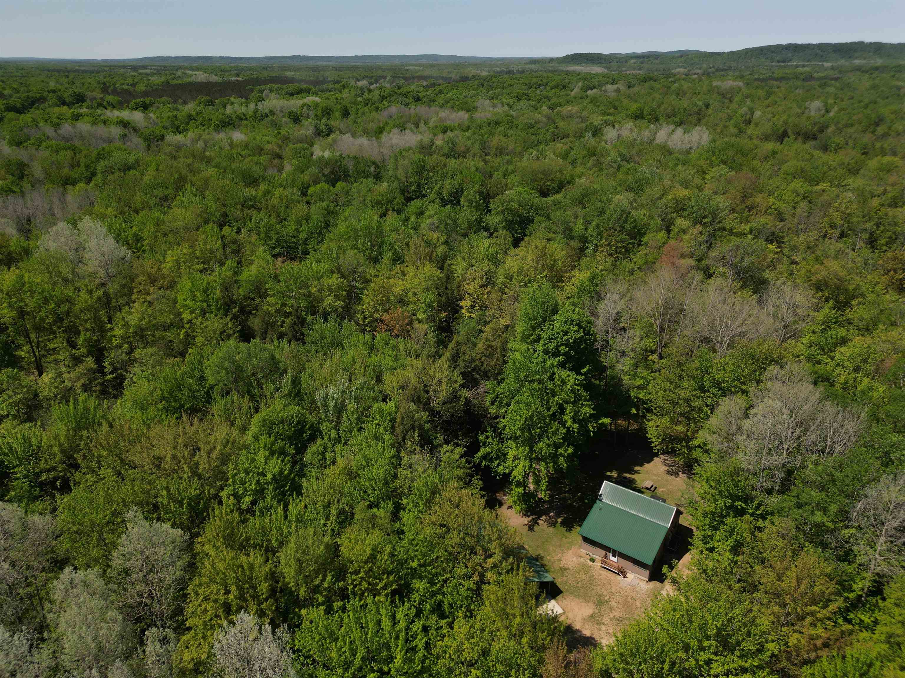 16862 Healy Lake Road Thompsonville, MI 49683 - Photo 29 of 32