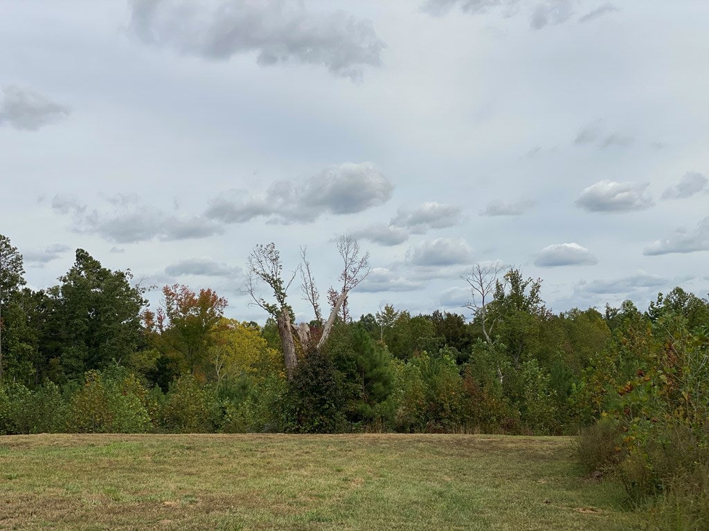 49 The Falls Road, Unit 42 Crewe, VA 23930 - Photo 21 of 30 Gallery Image 21
