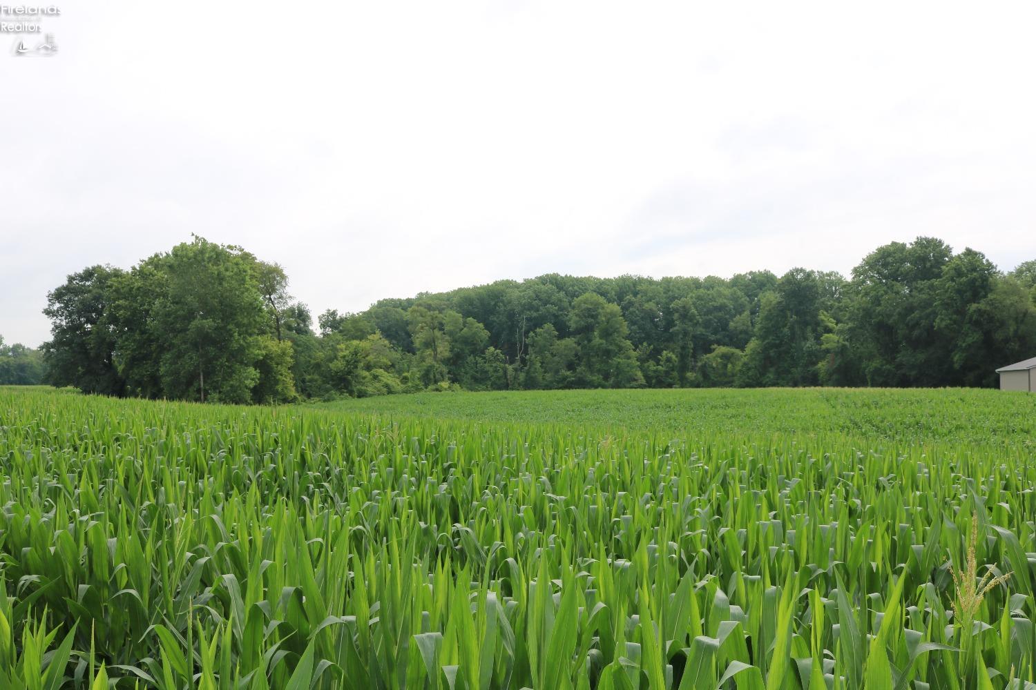 0 Shaw Mill Road Norwalk, OH 44857 - Photo 10 of 11 Gallery Image 10