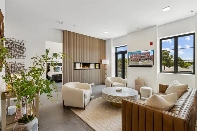a living room with furniture and a potted plant