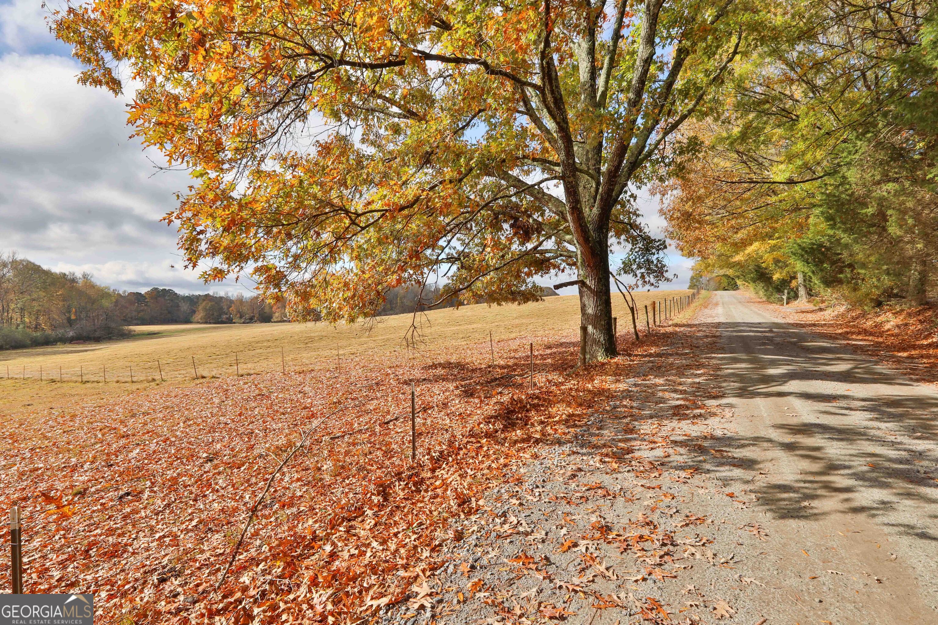 Lot 4 Mask Road Brooks, GA 30205 - Photo 3 of 11 a view of yard with trees