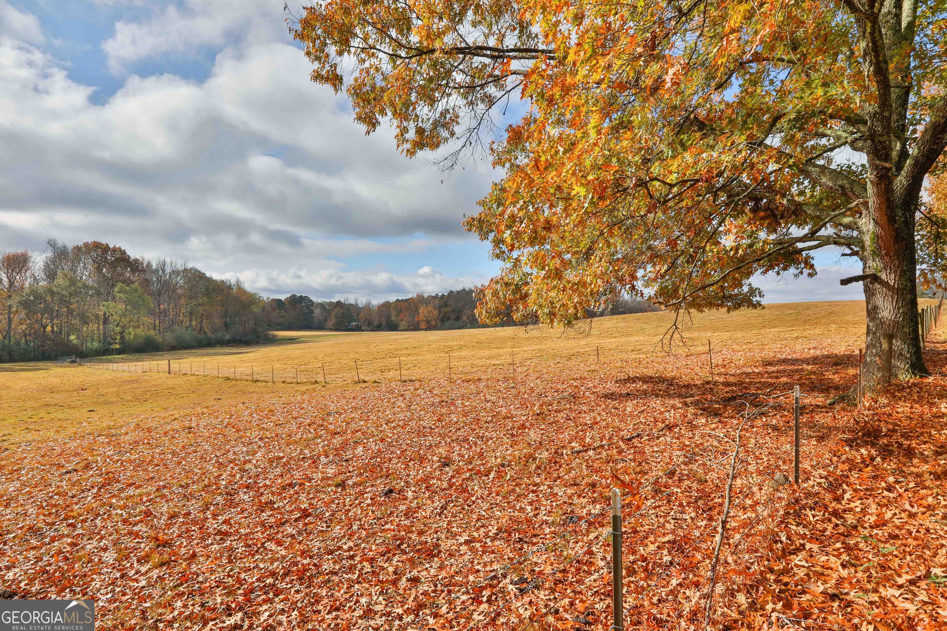 Lot 4 Mask Road Brooks, GA 30205 - Photo 9 of 11 a view of an ocean