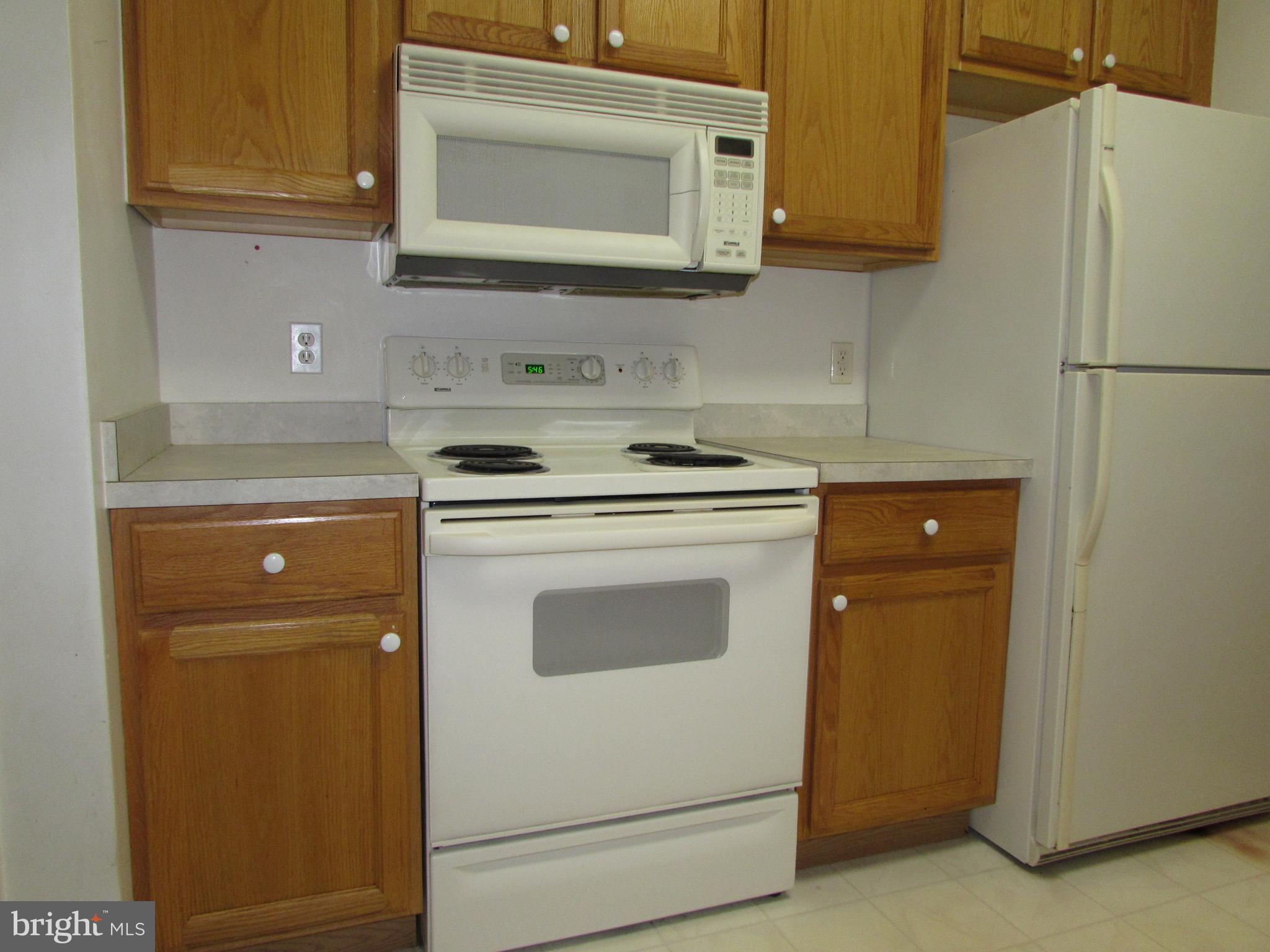 87 Hingham Lane Berlin, MD 21811 - Photo 12 of 39