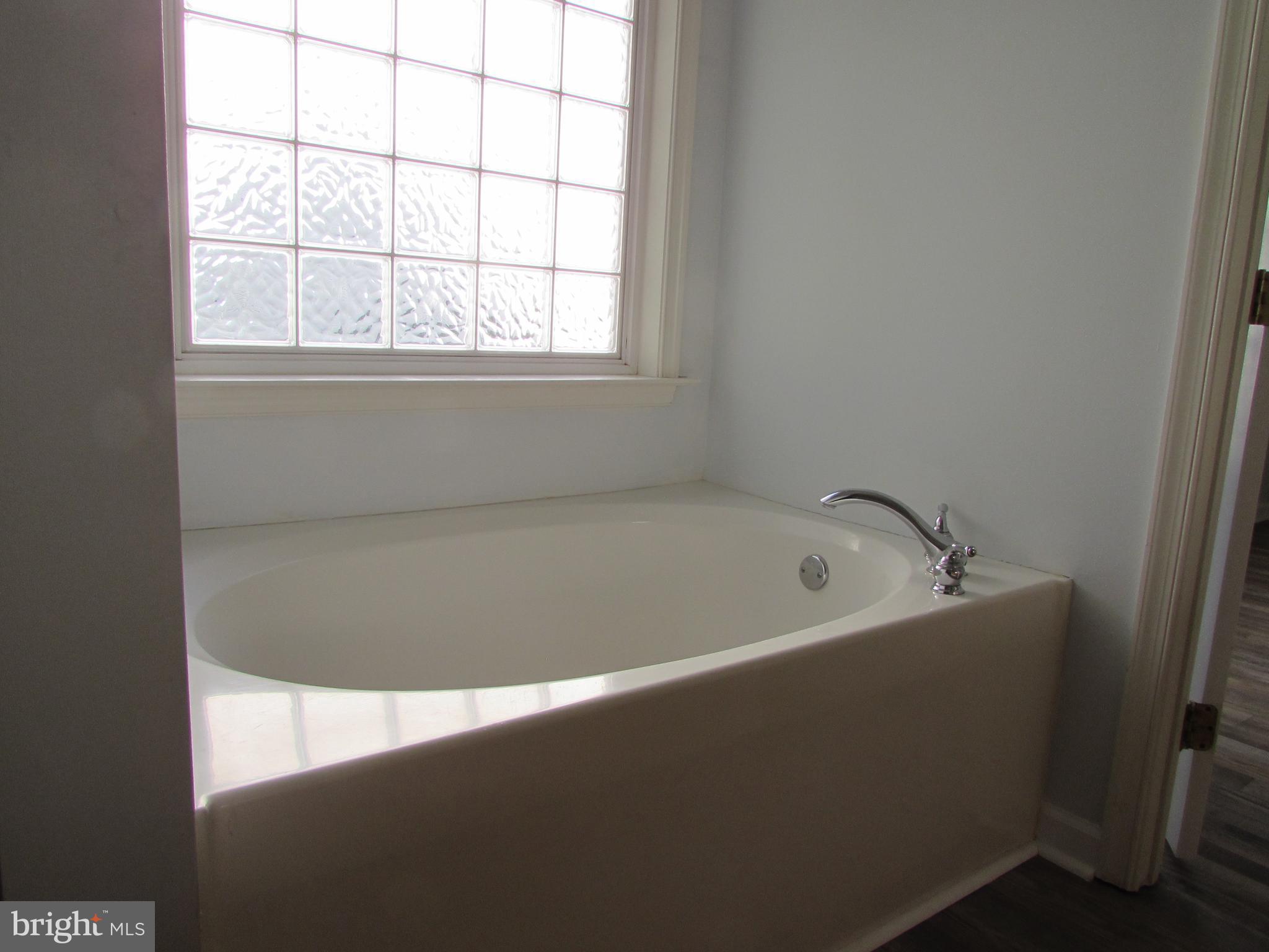 87 Hingham Lane Berlin, MD 21811 - Photo 24 of 39 Soaker tub