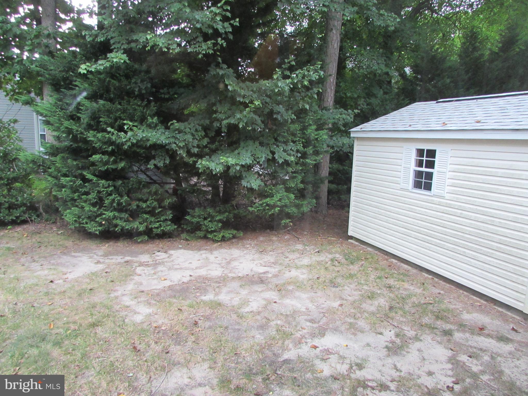 87 Hingham Lane Berlin, MD 21811 - Photo 25 of 39 back yard with large shed