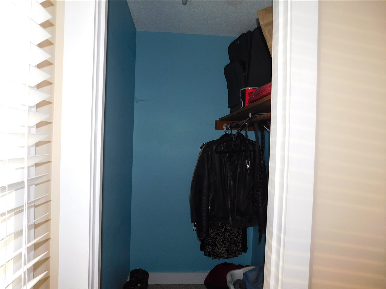 5217 Carrier Way Raleigh, NC 27603 - Photo 10 of 18 Walk-in Closet