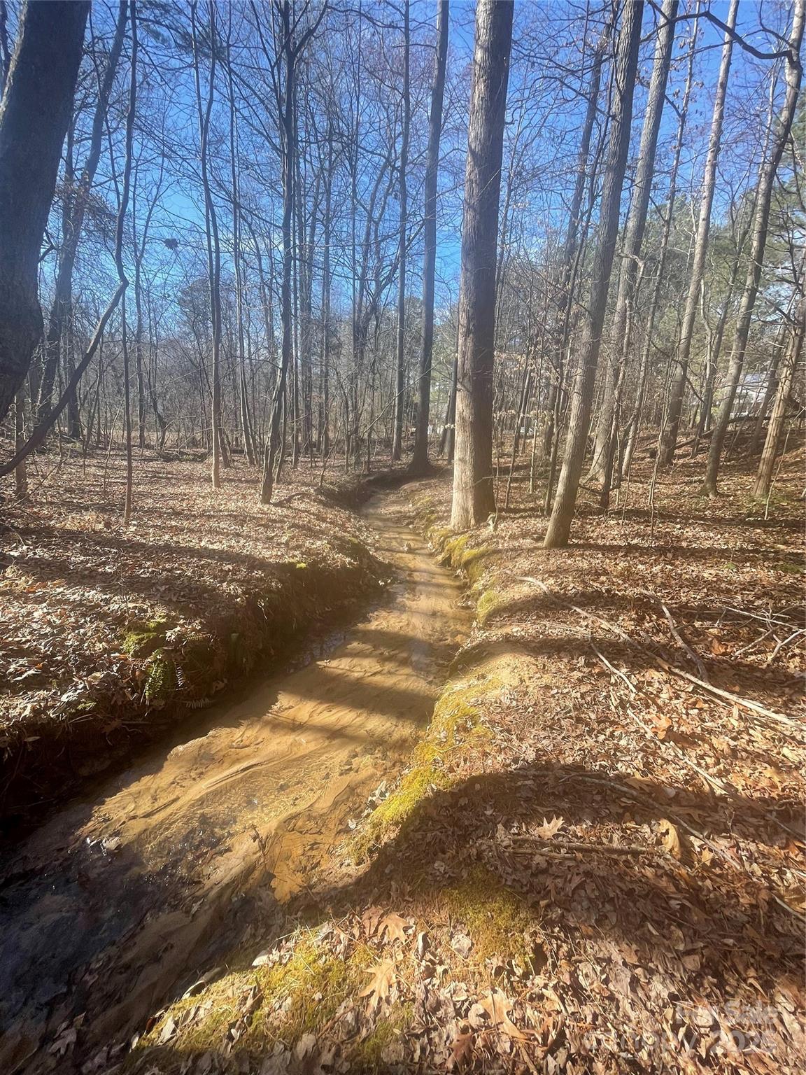 0 Rutan Court Mooresville, NC 28117 - Photo 2 of 10
