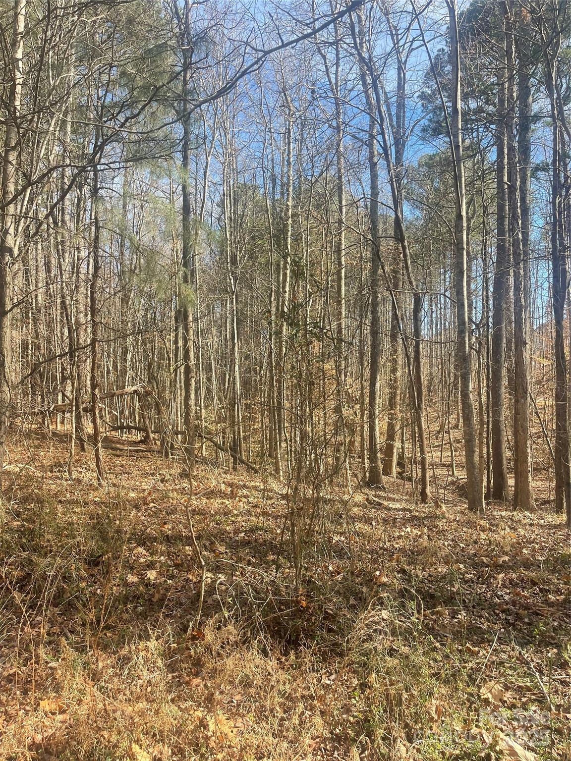 0 Rutan Court Mooresville, NC 28117 - Photo 3 of 10