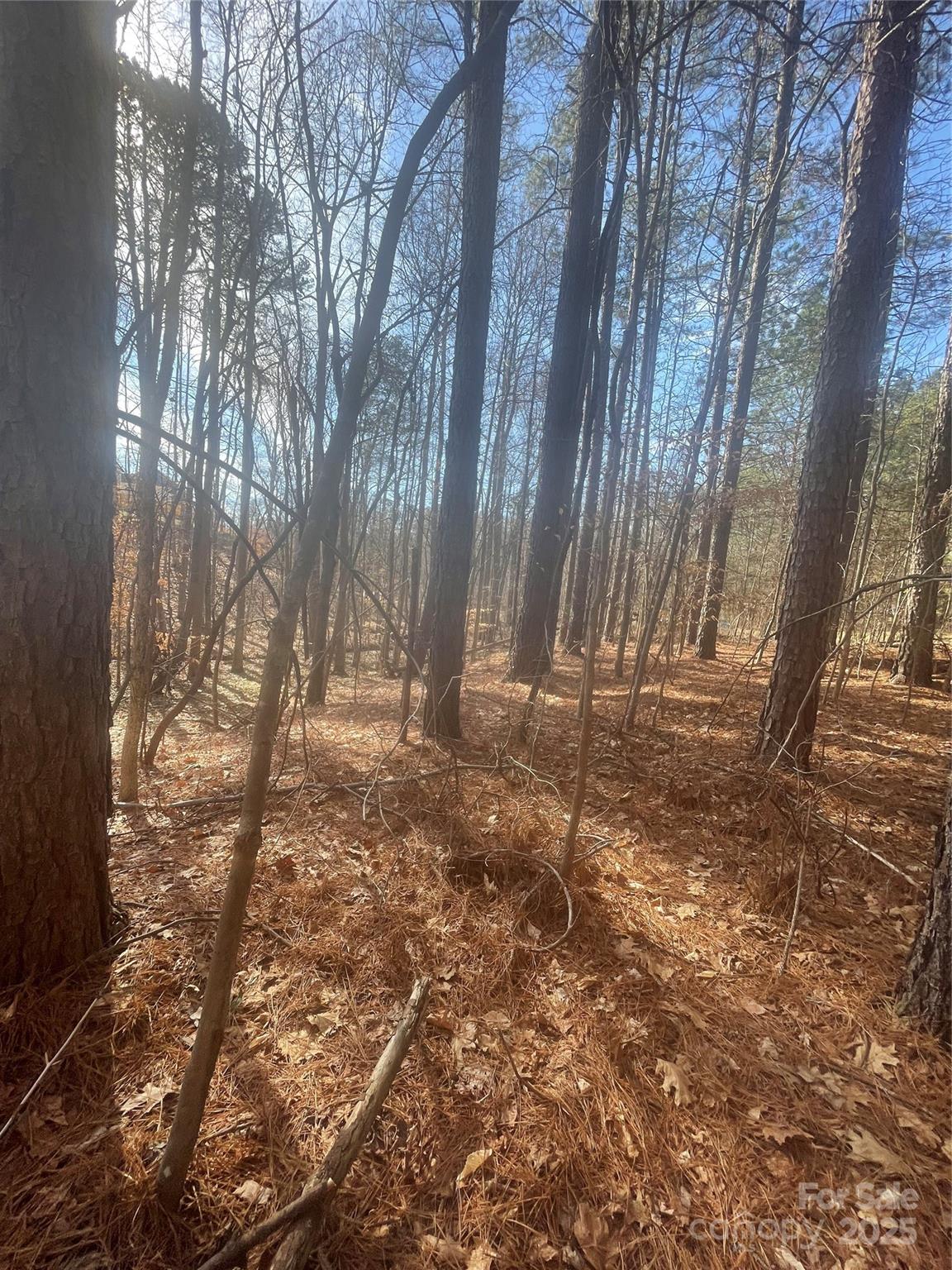 0 Rutan Court Mooresville, NC 28117 - Photo 6 of 10