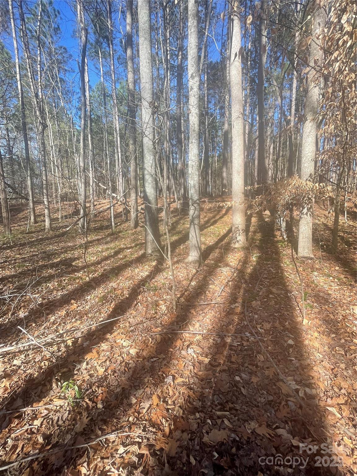 0 Rutan Court Mooresville, NC 28117 - Photo 7 of 10