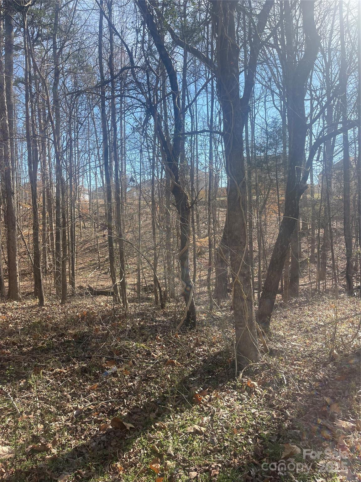 0 Rutan Court Mooresville, NC 28117 - Photo 8 of 10