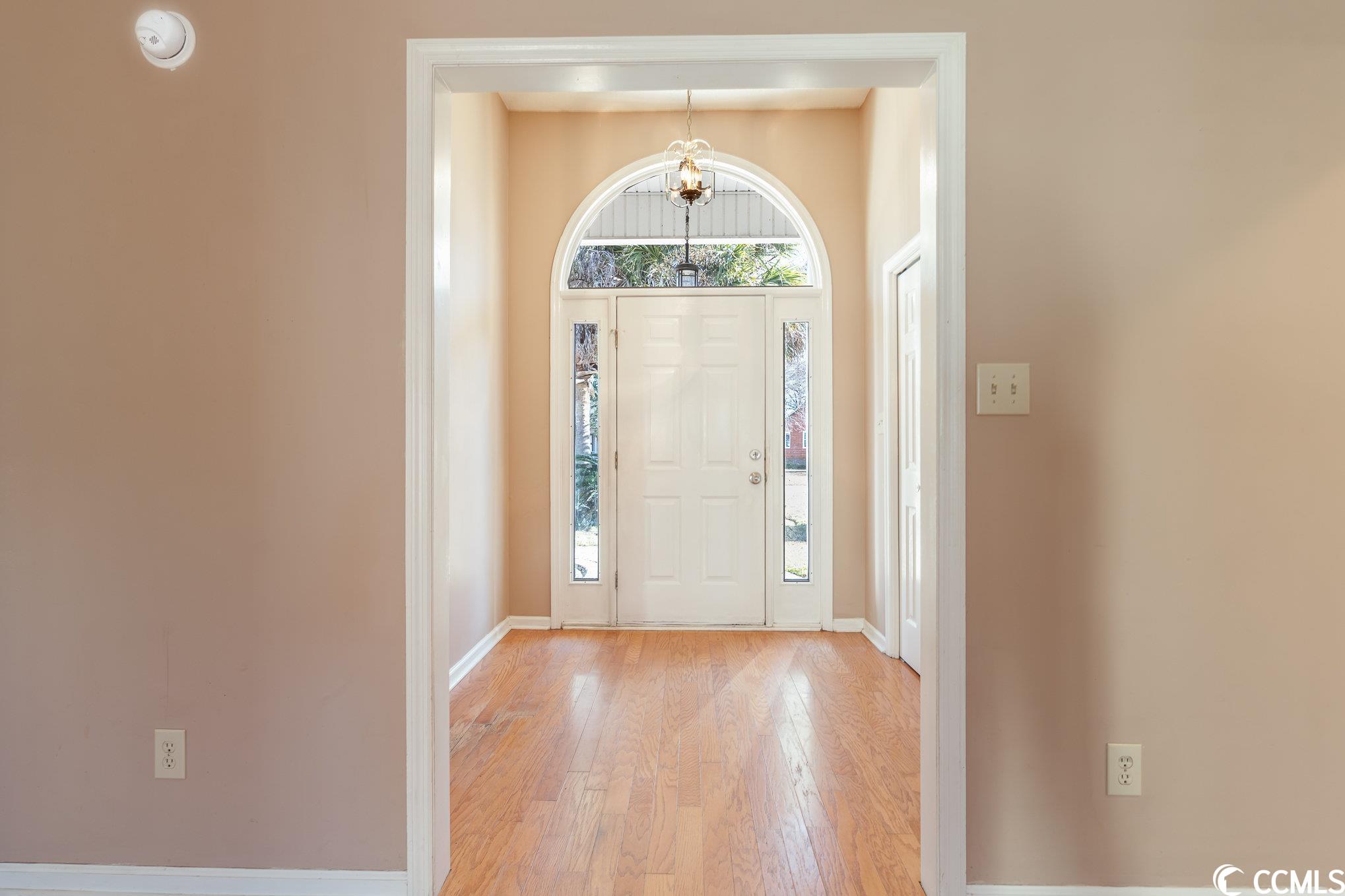 206 Rice Mill Drive Myrtle Beach, SC 29588 - Photo 4 of 30