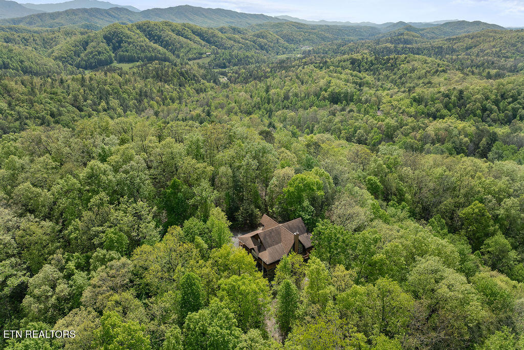 3640 Vixen Way Cosby, TN 37722 - Photo 41 of 60 3600-vixen-way-40