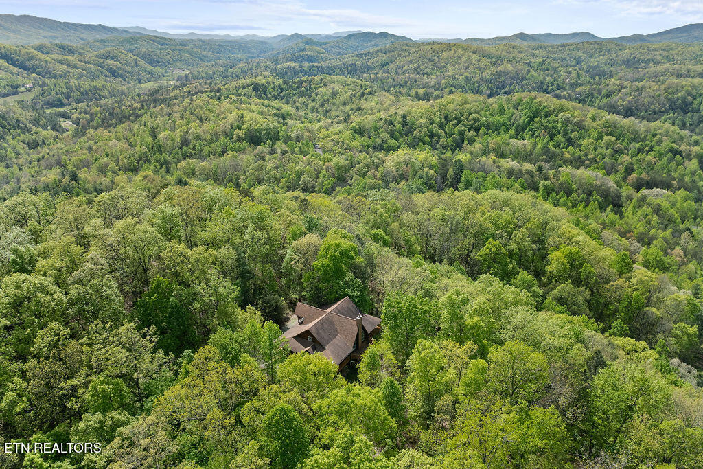 3640 Vixen Way Cosby, TN 37722 - Photo 42 of 60 3600-vixen-way-41