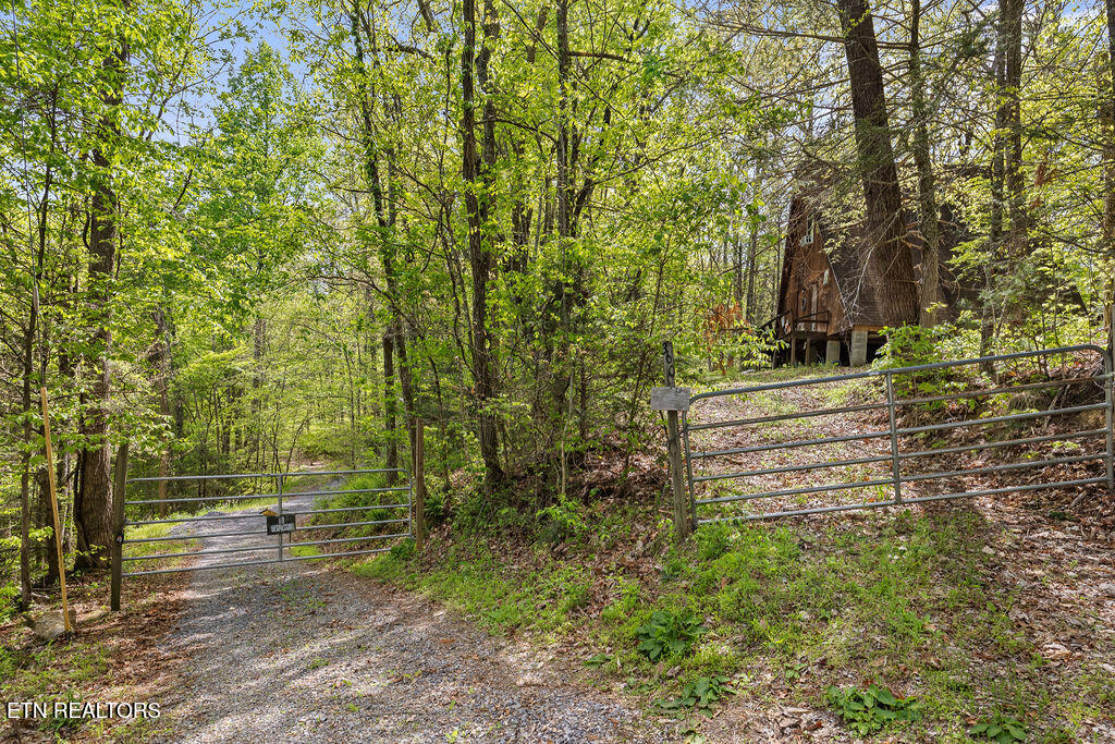 3640 Vixen Way Cosby, TN 37722 - Photo 59 of 60 3600-vixen-way-58