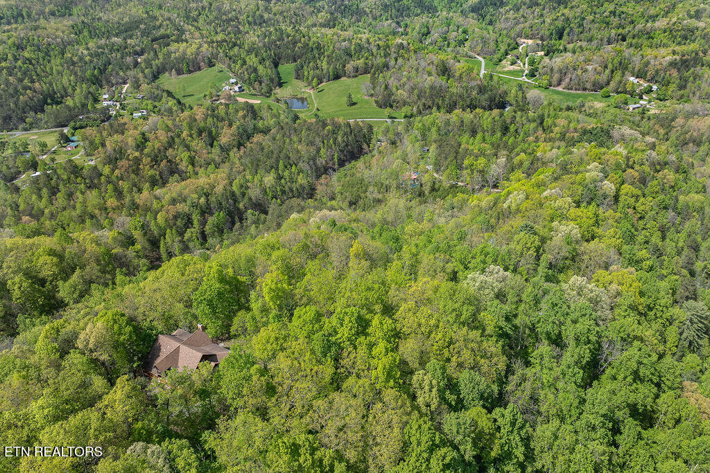 3640 Vixen Way Cosby, TN 37722 - Photo 60 of 60 3600-vixen-way-59