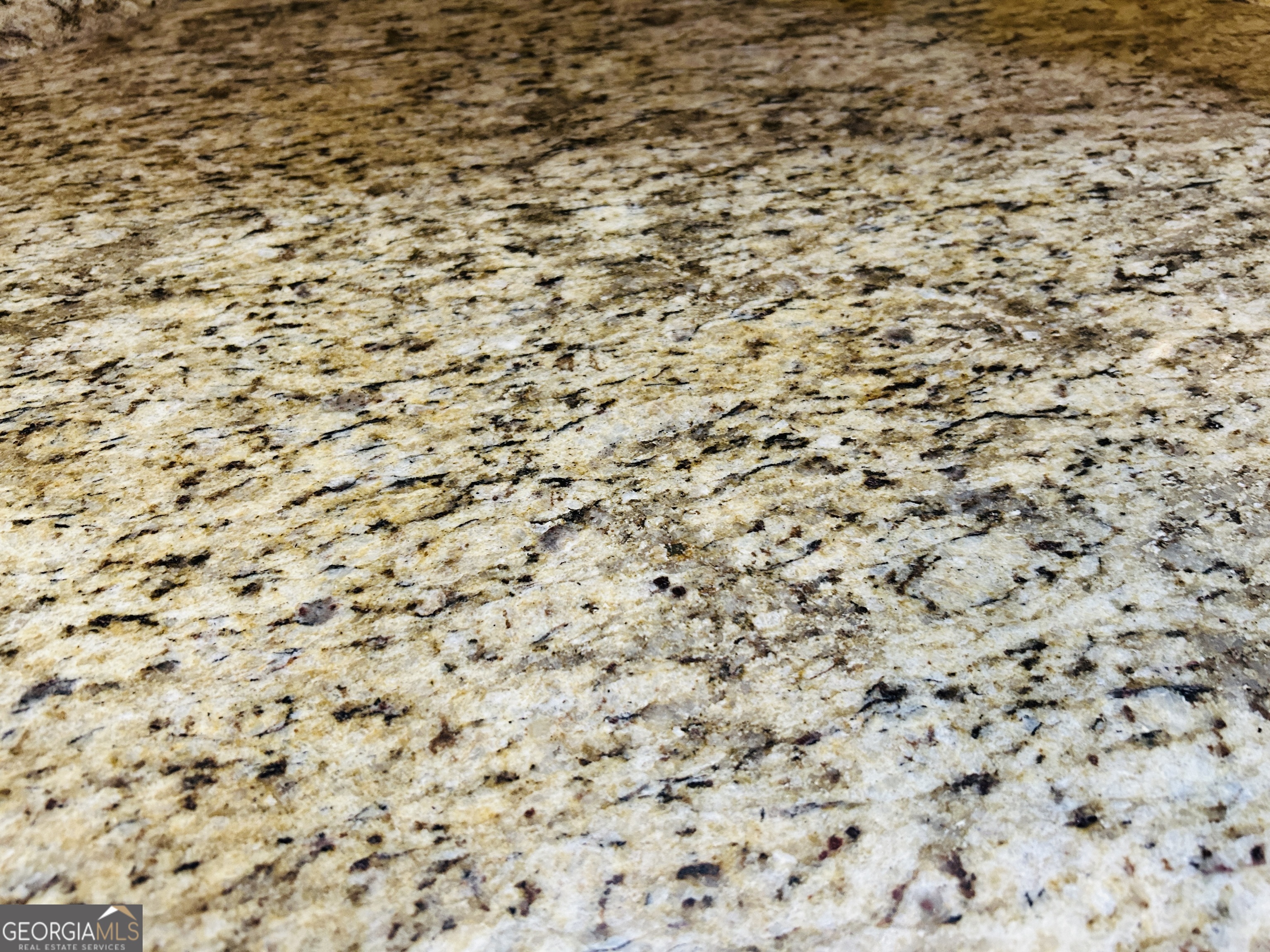 2690 Sharpsburg McCollum Road Newnan, GA 30265 - Photo 19 of 44