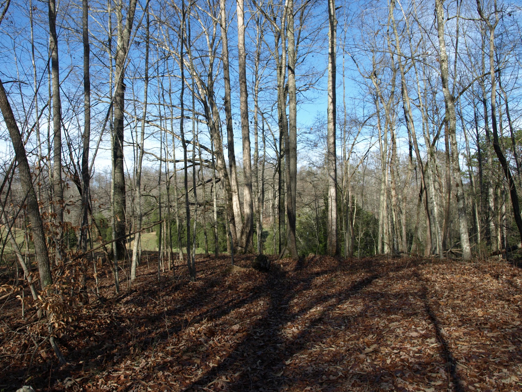0 Big Creek Road La Follette, TN 37766 - Photo 30 of 30 Gallery Image 30