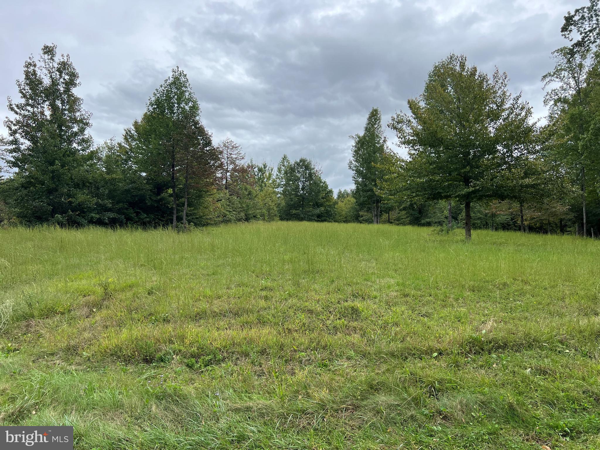 170 Rainbow Ridge Bumpass, VA 23024 - Photo 2 of 18